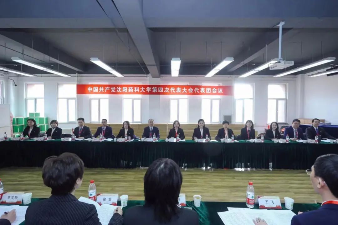 16D81 16D81